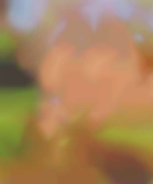 Flora play tits (Animated)